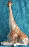 Giraff